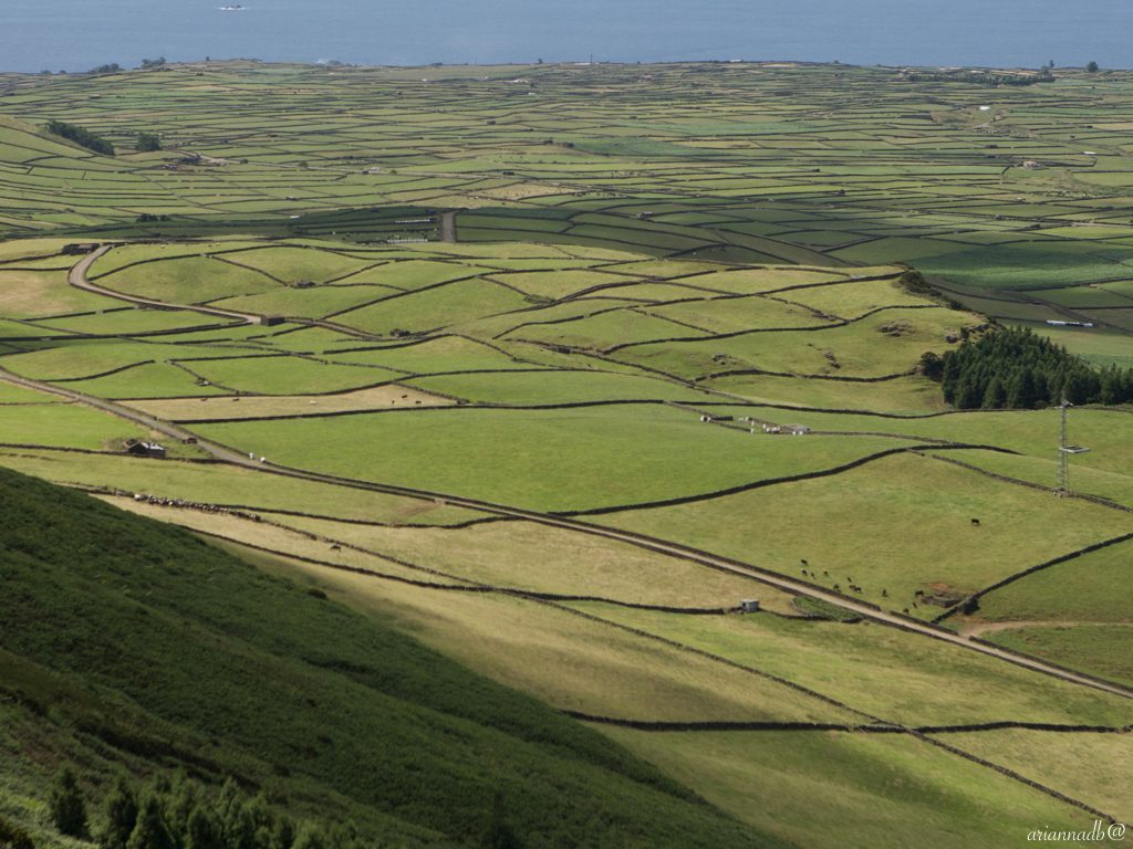 per-articolo-su-materiali.001