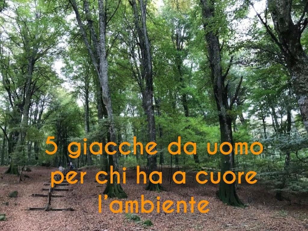 599A8F90-17E8-41FB-9095-B2FE6AE81C7F